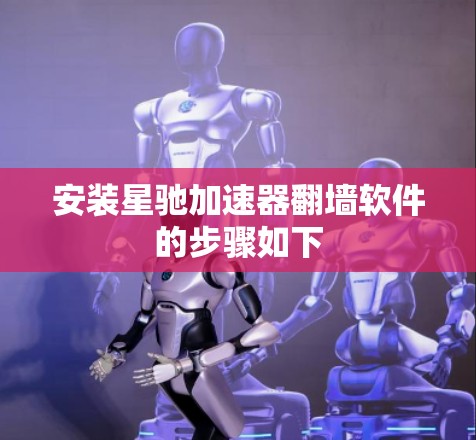 安装星驰加速器翻墙软件的步骤如下