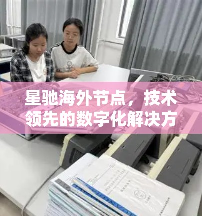 星驰海外节点，技术领先的数字化解决方案