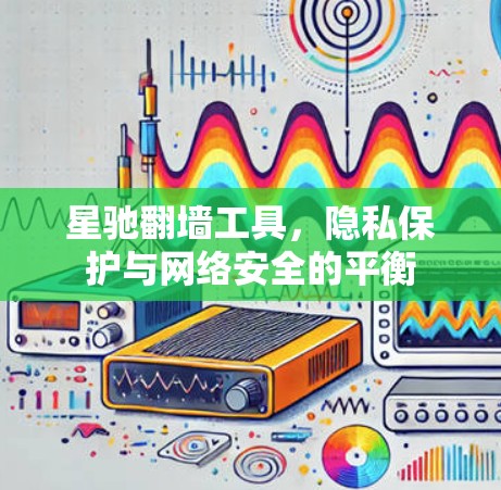 星驰翻墙工具，隐私保护与网络安全的平衡