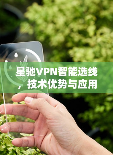 星驰VPN智能选线，技术优势与应用场景分析