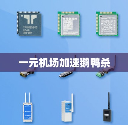 一元机场加速鹅鸭杀