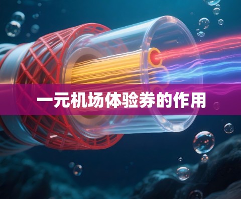 一元机场体验券的作用