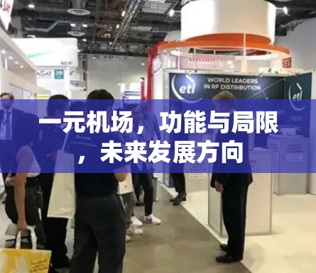 一元机场，功能与局限，未来发展方向