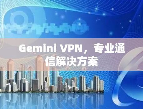 Gemini VPN，专业通信解决方案