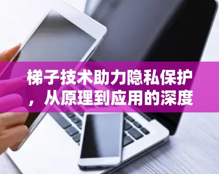 梯子技术助力隐私保护，从原理到应用的深度探讨