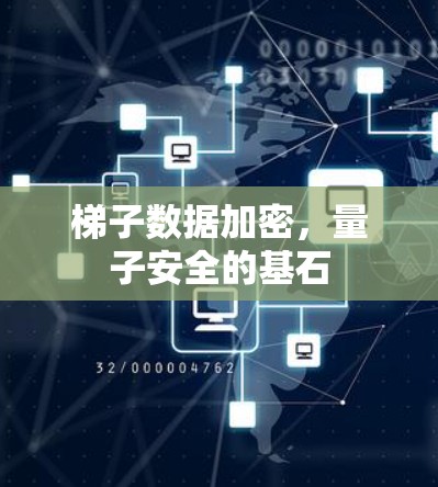梯子数据加密，量子安全的基石
