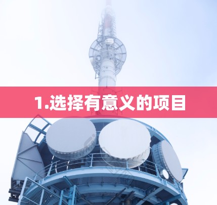 1.选择有意义的项目