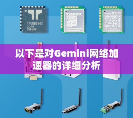 以下是对Gemini网络加速器的详细分析