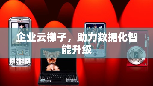 企业云梯子，助力数据化智能升级