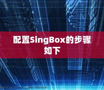 配置SingBox的步骤如下