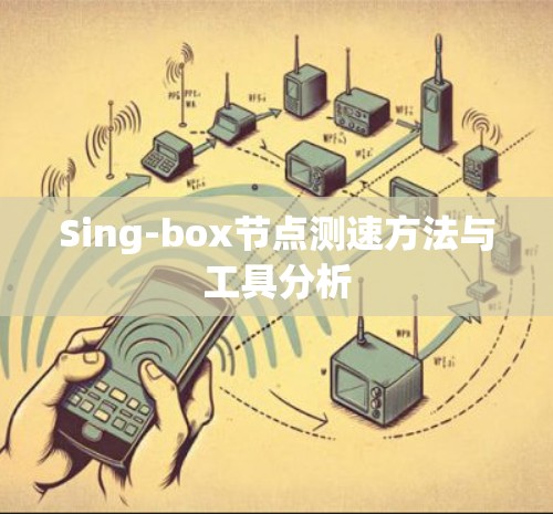 Sing-box节点测速方法与工具分析