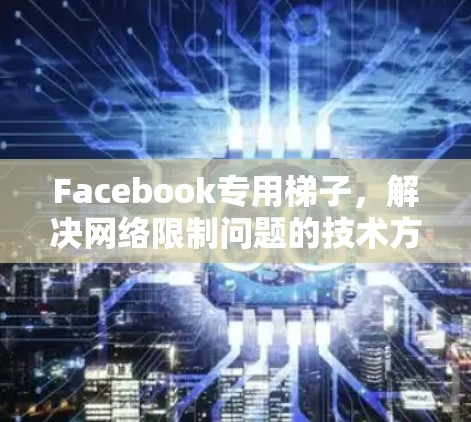Facebook专用梯子，解决网络限制问题的技术方案