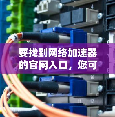 要找到网络加速器的官网入口，您可以按照以下步骤操作