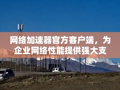 网络加速器官方客户端，为企业网络性能提供强大支持