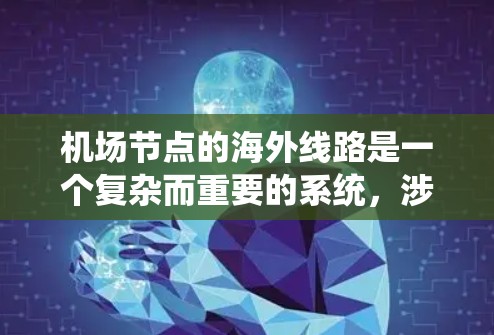 机场节点的海外线路是一个复杂而重要的系统，涉及多个关键方面的设计和实施。以下是对该系统的详细分析和总结