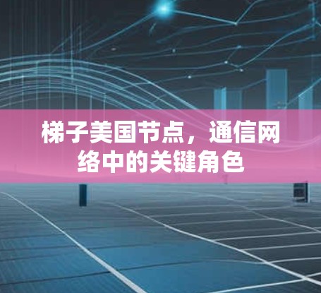梯子美国节点，通信网络中的关键角色