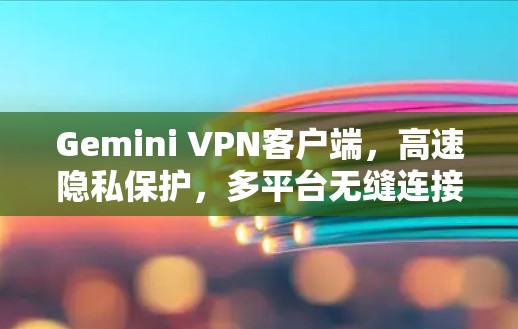 Gemini VPN客户端，高速隐私保护，多平台无缝连接