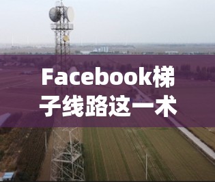 Facebook梯子线路这一术语可能指的是 Facebook 内部的网络架构或通信系统的一部分，用于描述其数据中心之间的高效通信和数据传输机制。以下是一些可能的解释和背景信息