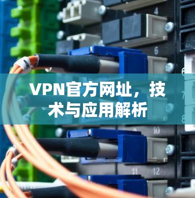 VPN官方网址，技术与应用解析