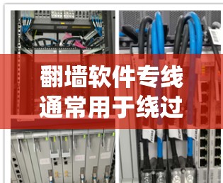 翻墙软件专线通常用于绕过网络限制，允许用户访问被封锁或限制的网站和服务。以下是一些常见的翻墙软件及其功能
