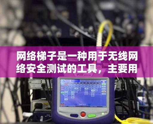 网络梯子是一种用于无线网络安全测试的工具，主要用于渗透测试，帮助发现和利用无线网络的安全漏洞。以下是对网络梯子安全测试的详细分析