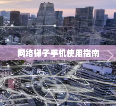 网络梯子手机使用指南