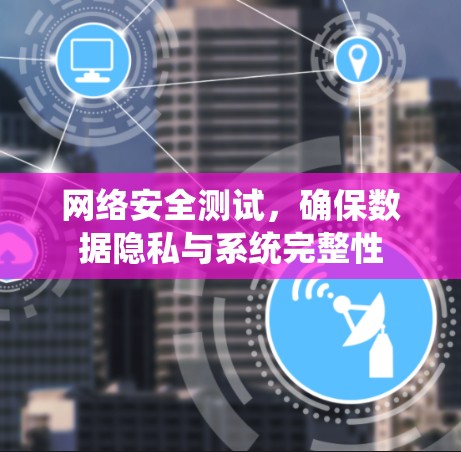 网络安全测试，确保数据隐私与系统完整性