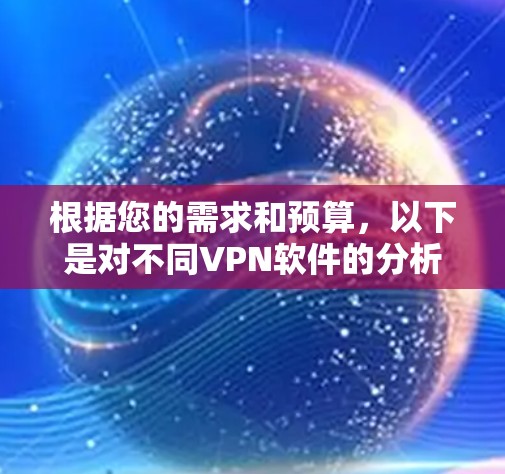 根据您的需求和预算，以下是对不同VPN软件的分析和推荐