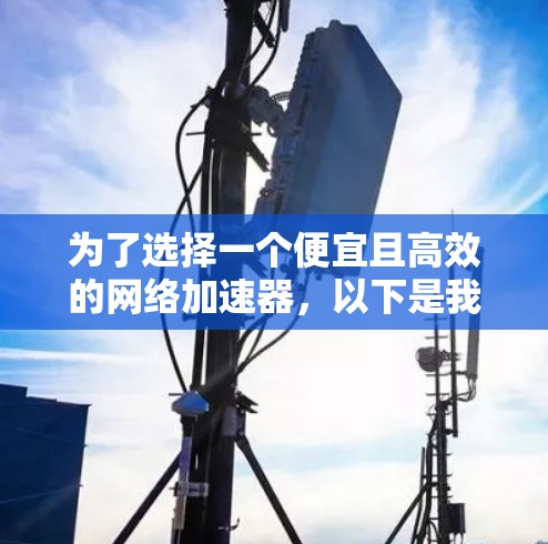 为了选择一个便宜且高效的网络加速器，以下是我的总结和建议