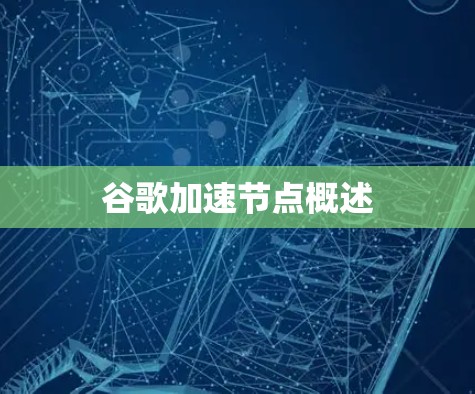 谷歌加速节点概述
