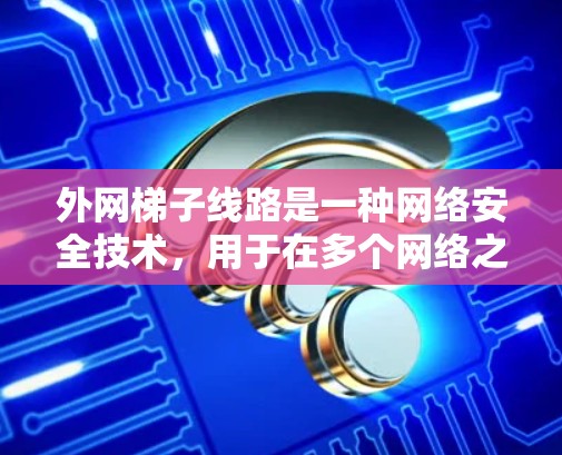 外网梯子线路是一种网络安全技术，用于在多个网络之间建立安全、稳定且灵活的连接。以下是对外网梯子线路的详细分析和总结