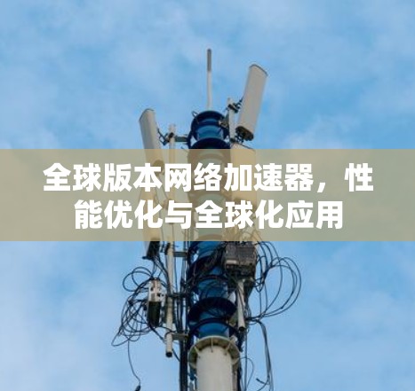 全球版本网络加速器，性能优化与全球化应用