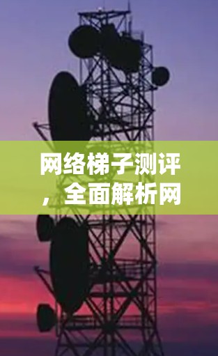 网络梯子测评，全面解析网络安全的核心防护系统