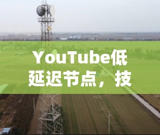 YouTube低延迟节点，技术与应用探析