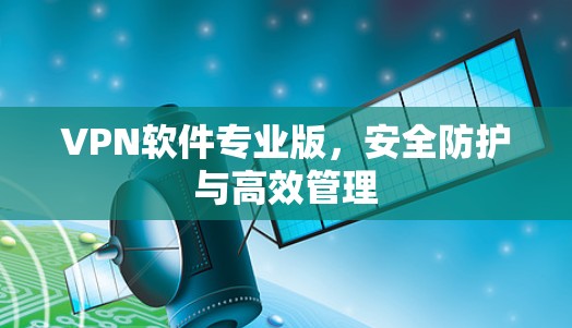 VPN软件专业版，安全防护与高效管理