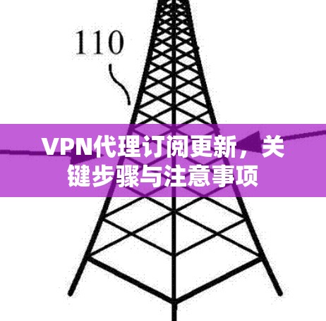VPN代理订阅更新，关键步骤与注意事项