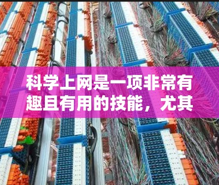 科学上网是一项非常有趣且有用的技能，尤其是当你需要获取大量的科学数据、论文、研究结果或其他相关信息时。以下是一些常用的科学上网线路和工具，帮助你高效地获取所需的信息