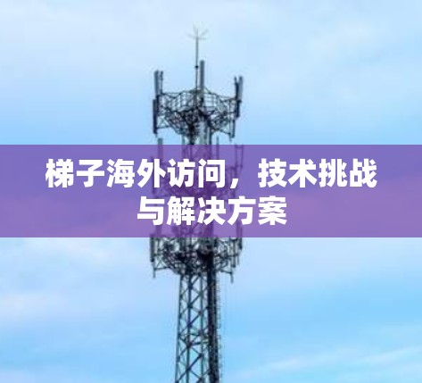 梯子海外访问，技术挑战与解决方案