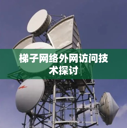 梯子网络外网访问技术探讨