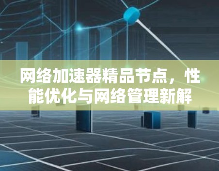 网络加速器精品节点，性能优化与网络管理新解决方案